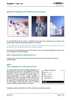 pdf_preview